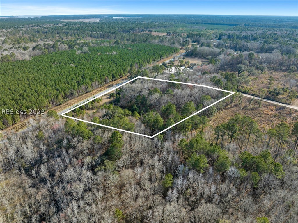 Tbd Lowcountry Drive, Ridgeland, South Carolina image 7