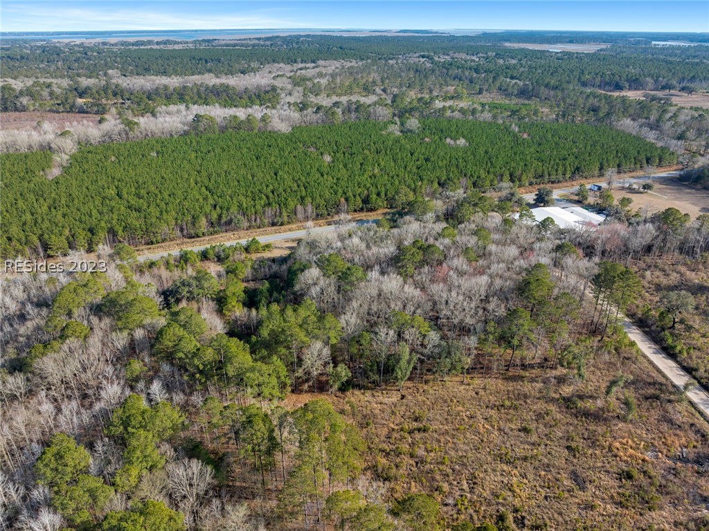 Tbd Lowcountry Drive, Ridgeland, South Carolina image 23