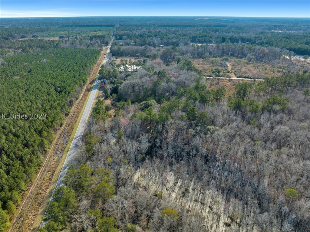Tbd Lowcountry Drive, Ridgeland, South Carolina image 21