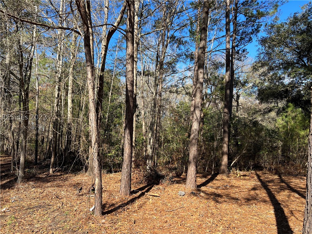 Tbd Lowcountry Drive, Ridgeland, South Carolina image 14