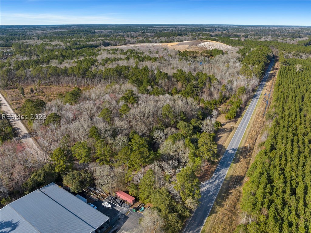 Tbd Lowcountry Drive, Ridgeland, South Carolina image 17