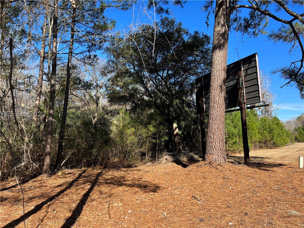Tbd Lowcountry Drive, Ridgeland, South Carolina image 12