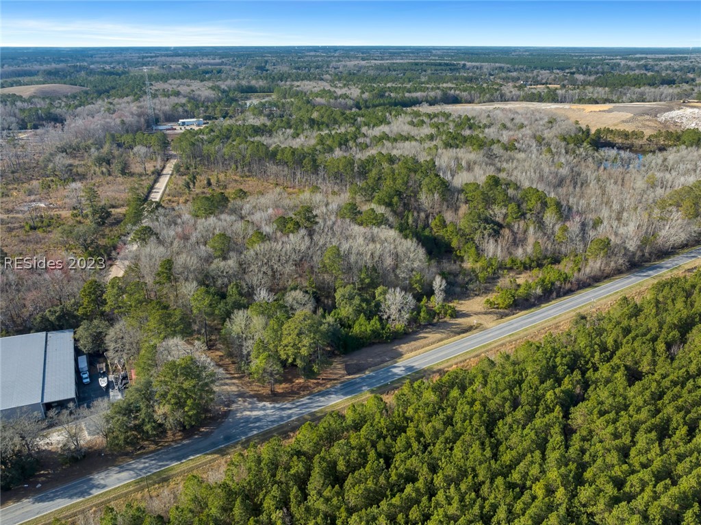 Tbd Lowcountry Drive, Ridgeland, South Carolina image 18