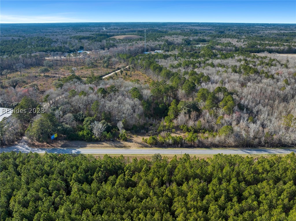 Tbd Lowcountry Drive, Ridgeland, South Carolina image 19