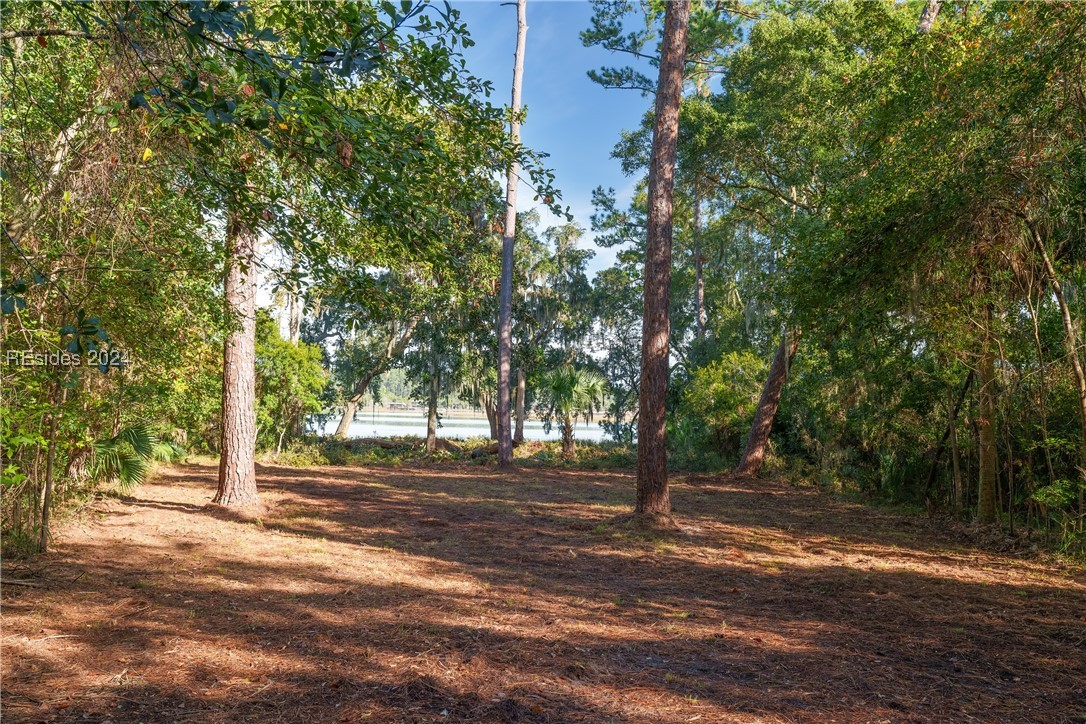 79 Trout Hole Road, Bluffton, South Carolina image 4