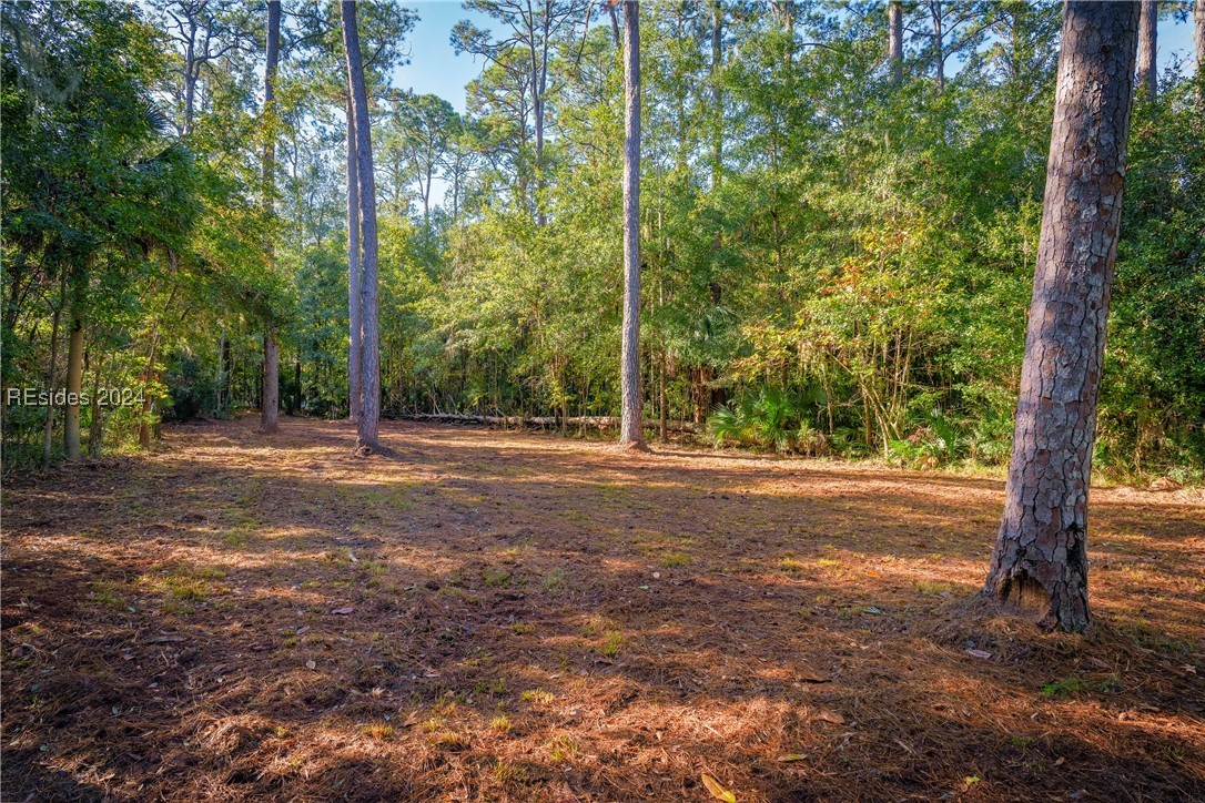79 Trout Hole Road, Bluffton, South Carolina image 6