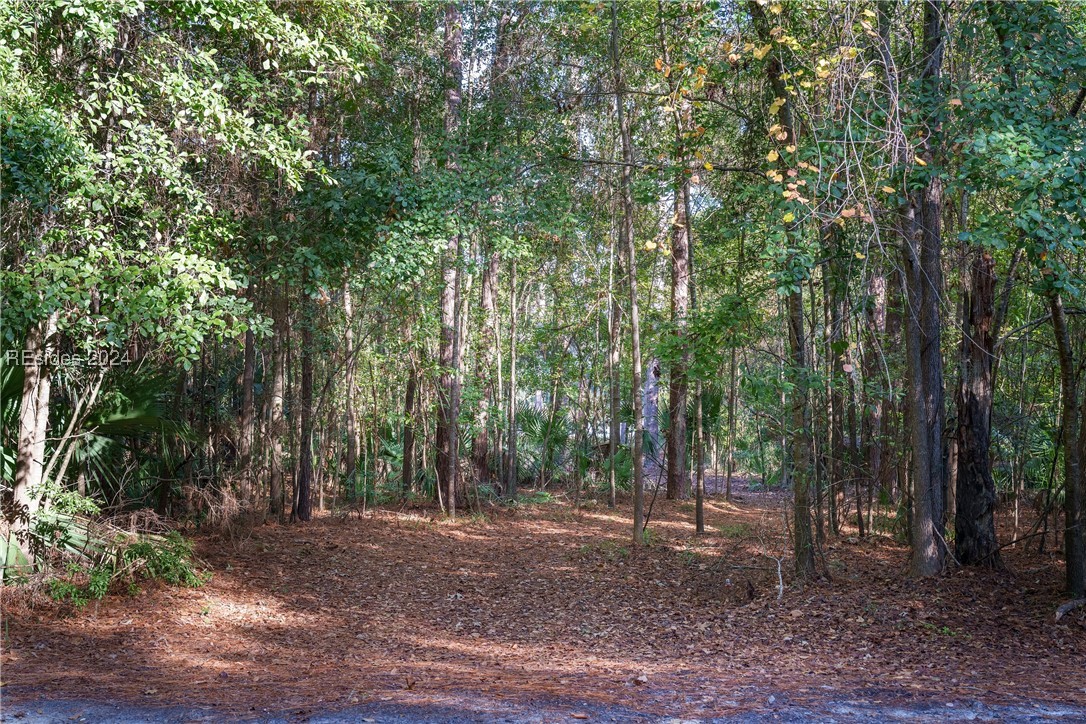79 Trout Hole Road, Bluffton, South Carolina image 5