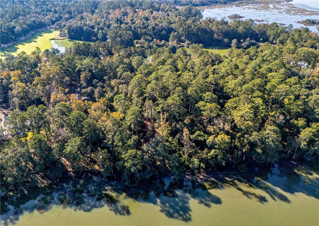 79 Trout Hole Road, Bluffton, South Carolina image 7