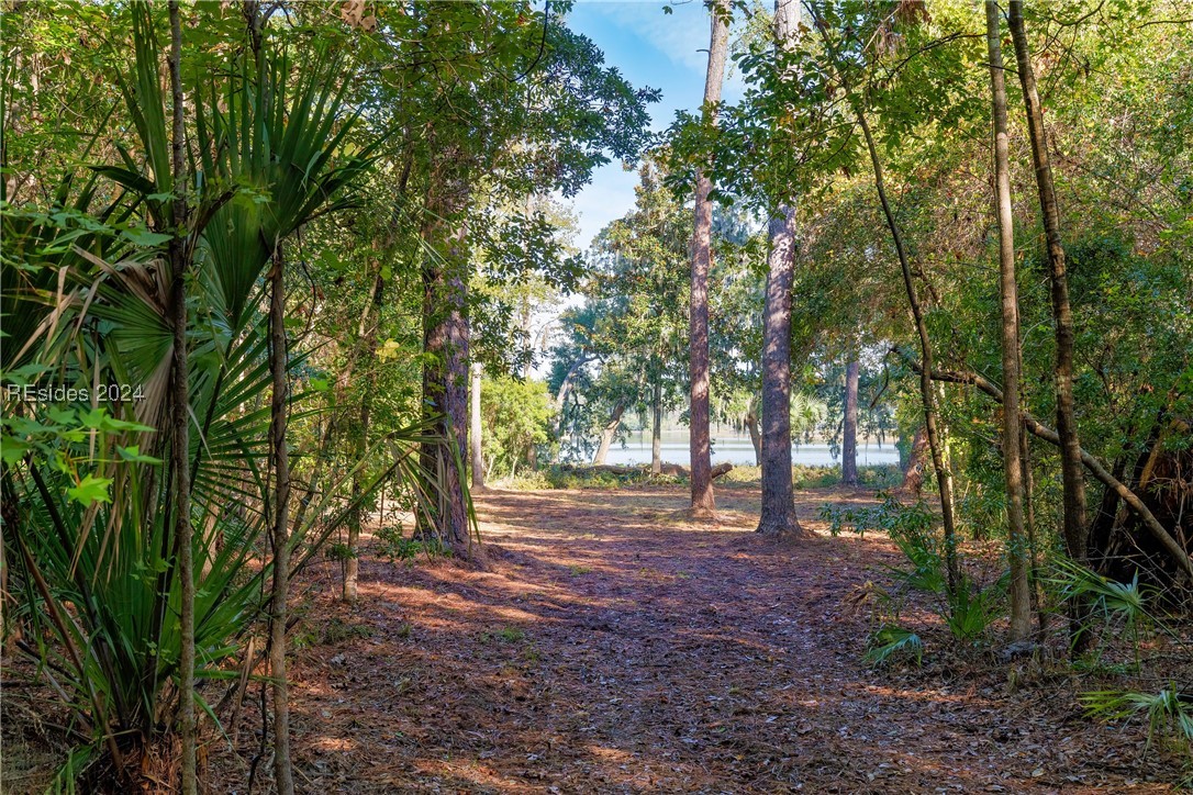 79 Trout Hole Road, Bluffton, South Carolina image 3