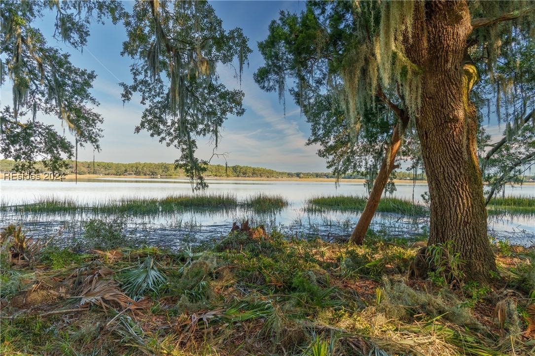 79 Trout Hole Road, Bluffton, South Carolina image 2