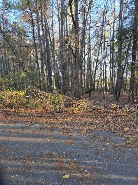 Vacant Land For Sale - LOT 12 Freeman Street<br/> Hampton County, Brunson, SC 29911