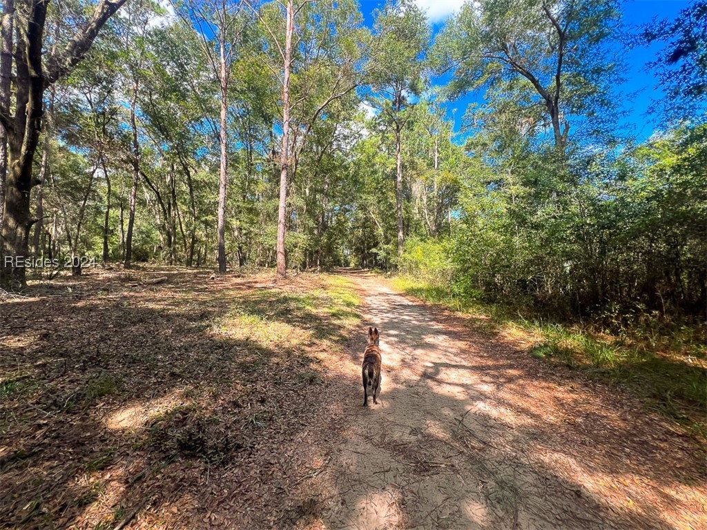 1 Rodeo Drive, Daufuskie Island, South Carolina image 5