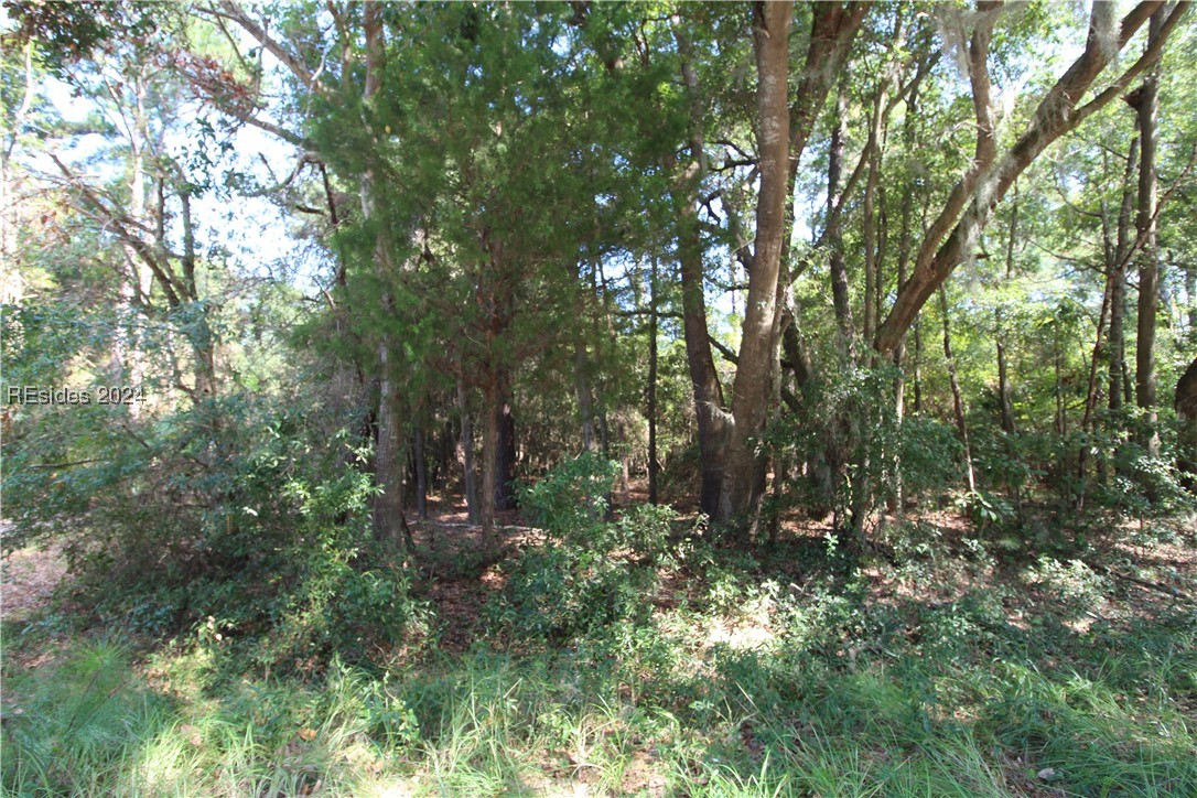 234 Sam Doyle Drive, Saint Helena Island, South Carolina image 3