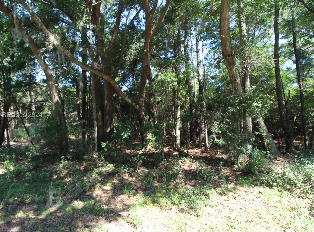 234 Sam Doyle Drive, Saint Helena Island, South Carolina image 4