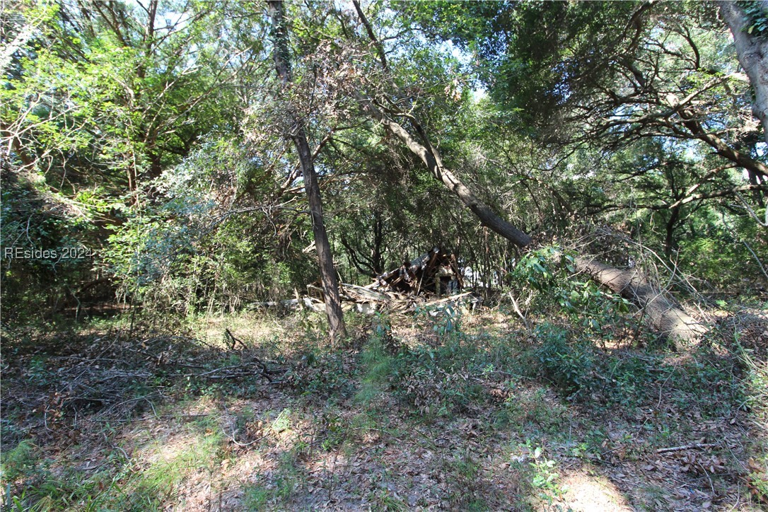 234 Sam Doyle Drive, Saint Helena Island, South Carolina image 6