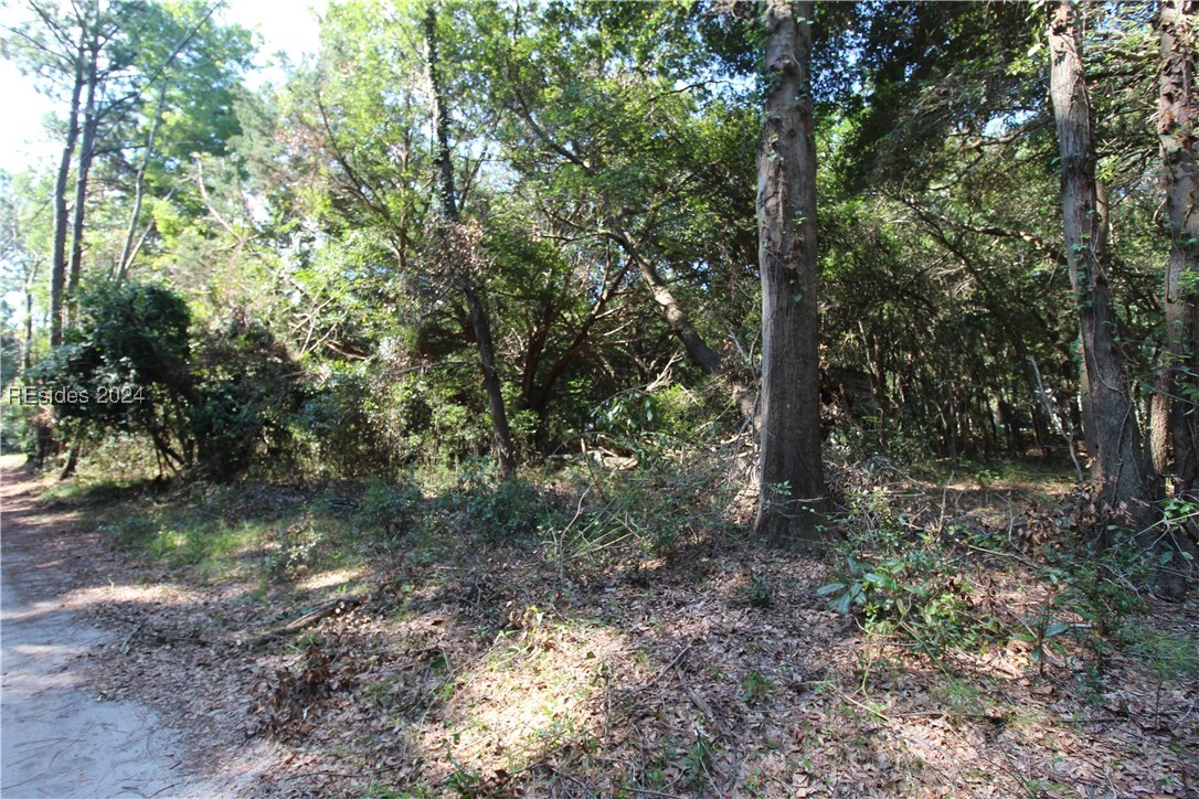 234 Sam Doyle Drive, Saint Helena Island, South Carolina image 9