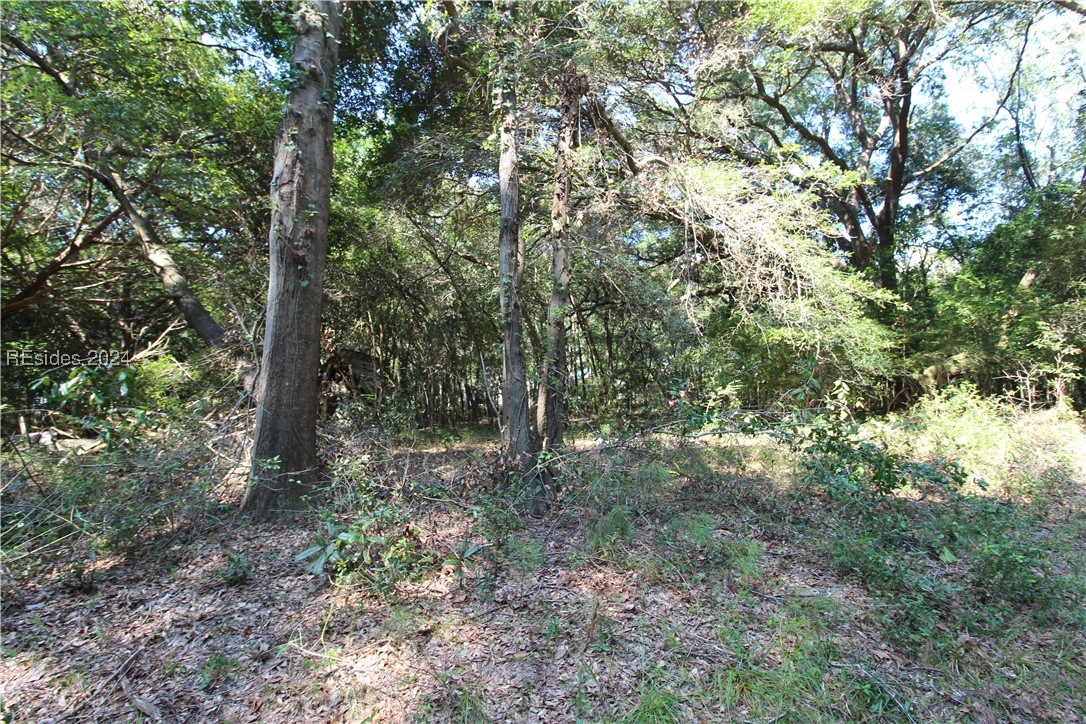 234 Sam Doyle Drive, Saint Helena Island, South Carolina image 8