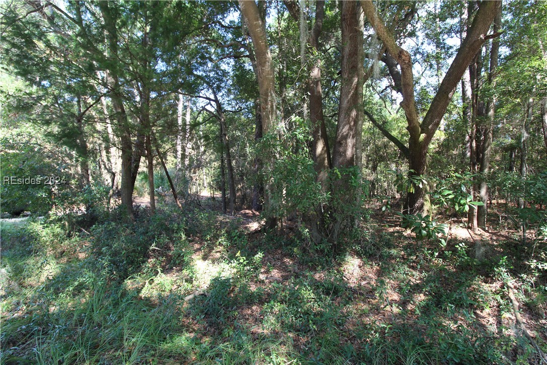 234 Sam Doyle Drive, Saint Helena Island, South Carolina image 10