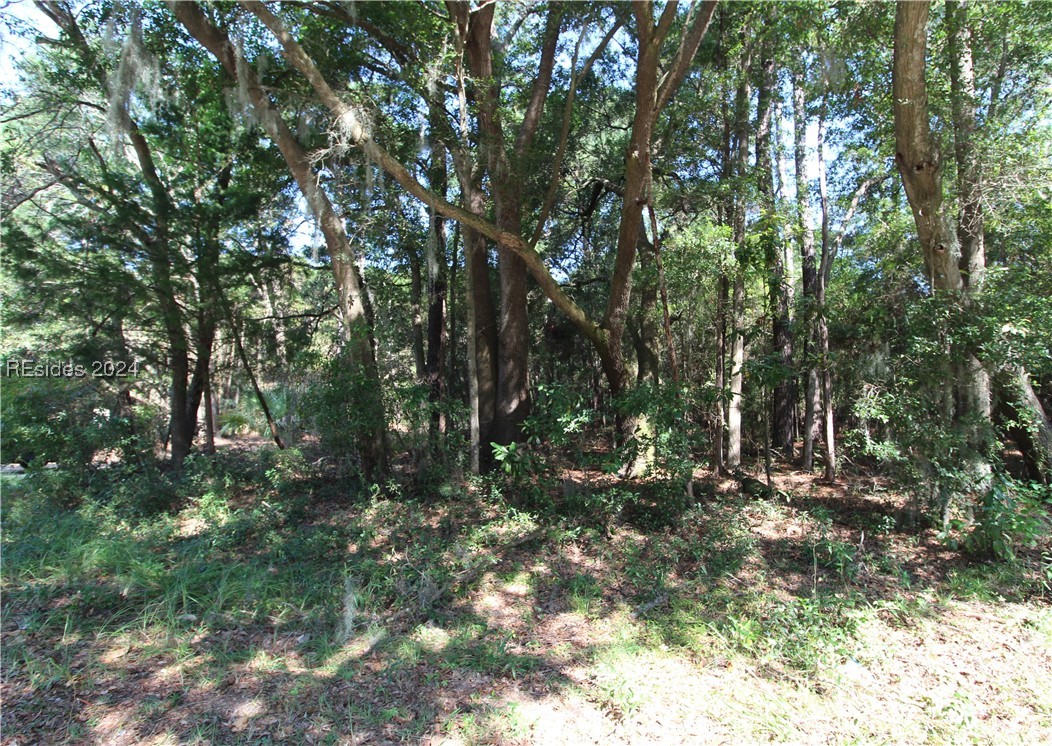 234 Sam Doyle Drive, Saint Helena Island, South Carolina image 5
