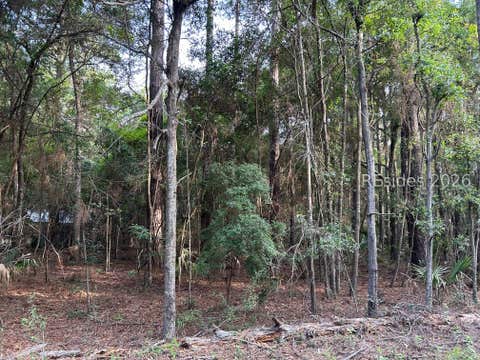 Vacant Land For Sale - 214 Benjies Point Road<br/> Daufuskie Island, SC 29915