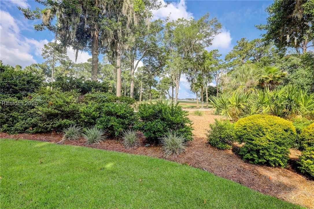 17 Magnolia Blossom Drive, Bluffton, South Carolina image 33