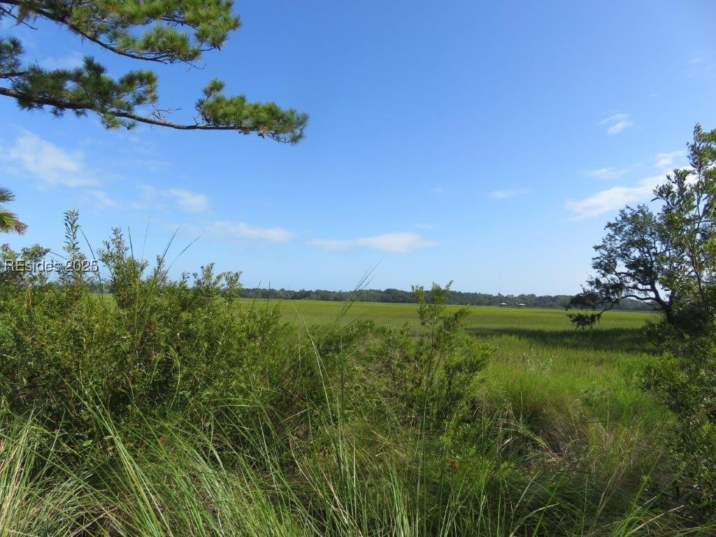 TBD Jonesville Road, Hilton Head Island, South Carolina image 10