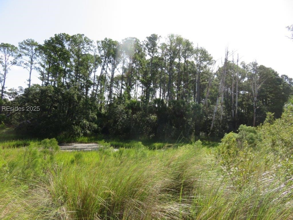 TBD Jonesville Road, Hilton Head Island, South Carolina image 26