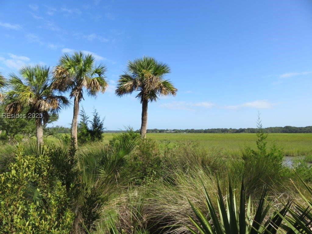 TBD Jonesville Road, Hilton Head Island, South Carolina image 32