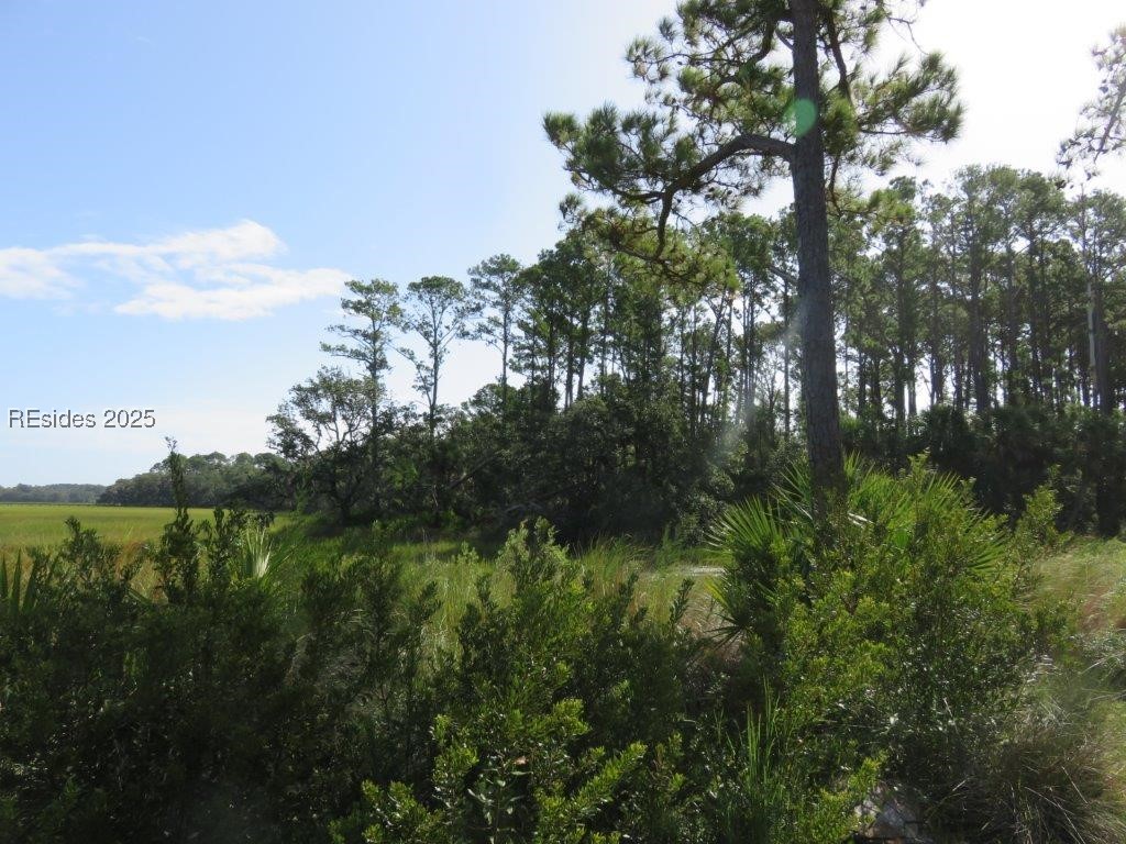 TBD Jonesville Road, Hilton Head Island, South Carolina image 27