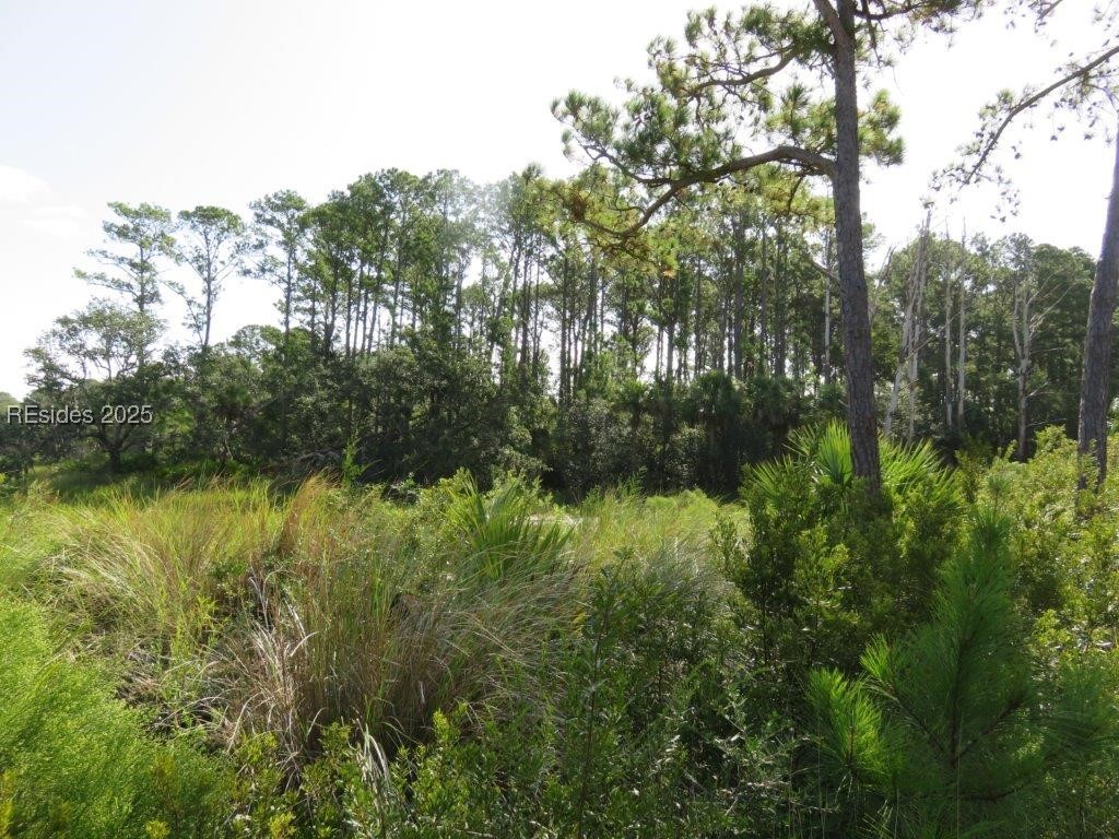 TBD Jonesville Road, Hilton Head Island, South Carolina image 29