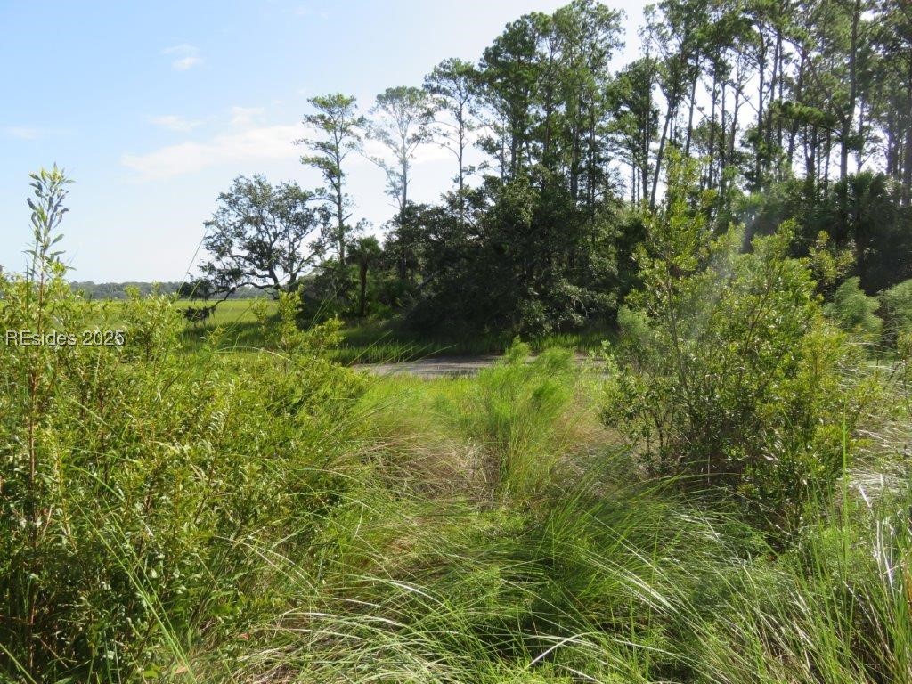 TBD Jonesville Road, Hilton Head Island, South Carolina image 23