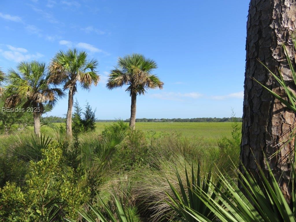 TBD Jonesville Road, Hilton Head Island, South Carolina image 31