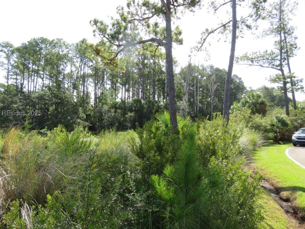 TBD Jonesville Road, Hilton Head Island, South Carolina image 30