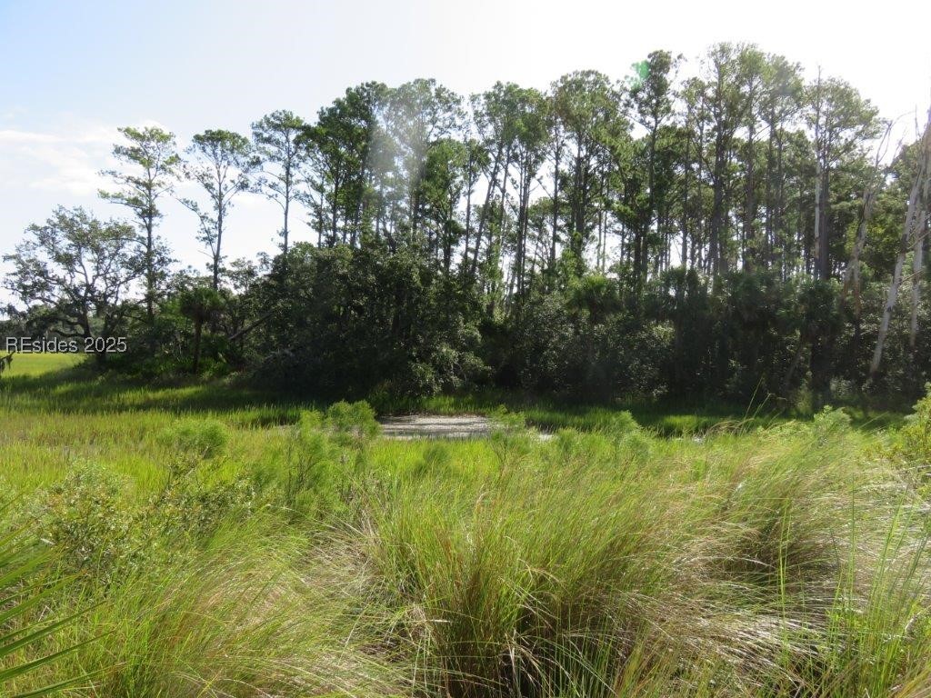 TBD Jonesville Road, Hilton Head Island, South Carolina image 25