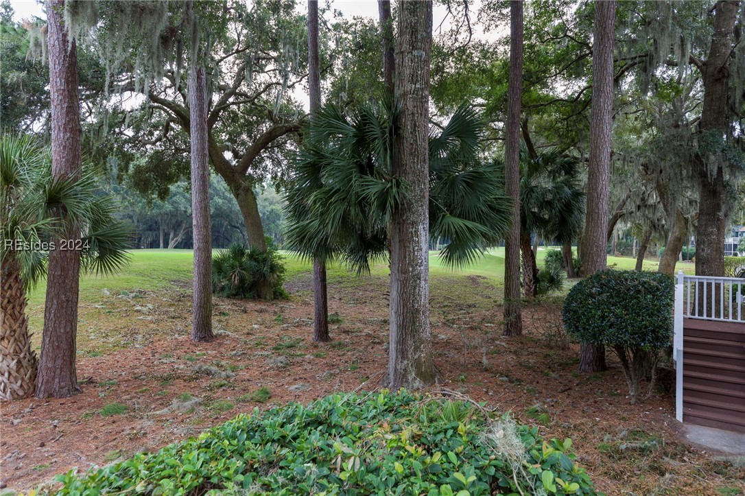 11 Plantation Homes Dr Dr, Daufuskie Island, South Carolina image 10