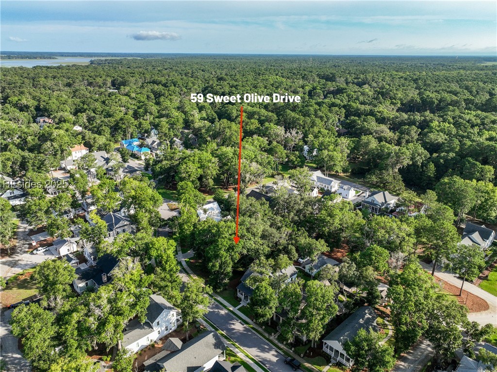 59 Sweet Olive Drive, Beaufort, South Carolina image 16