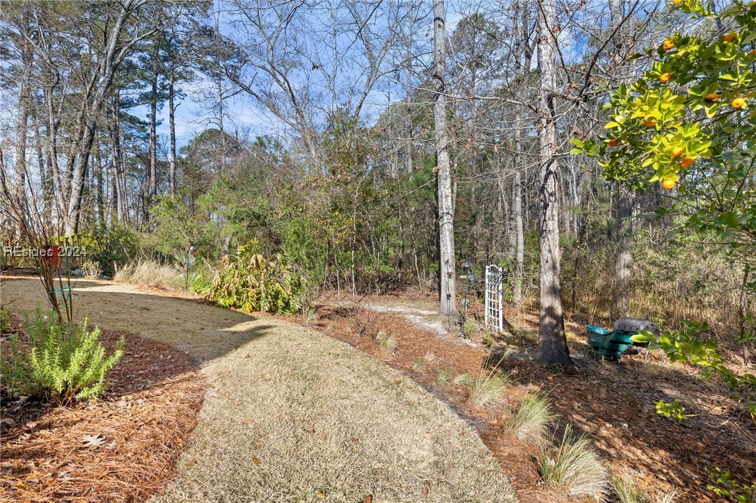 454 Oleander Way, Hardeeville, South Carolina image 27