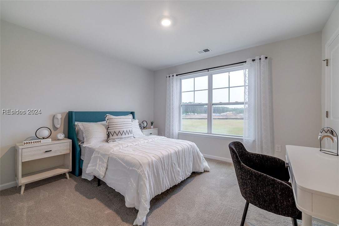 194 Hiatus Court, Ridgeland, South Carolina image 39