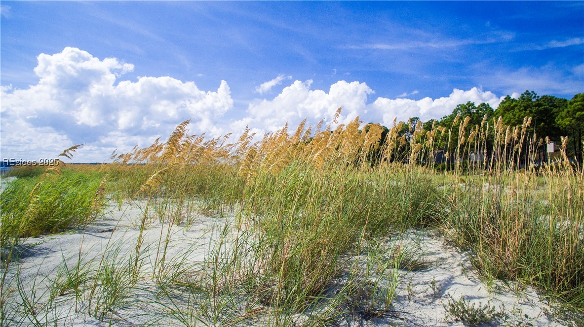 17 Lawton Drive #159, Hilton Head Island, Texas image 45