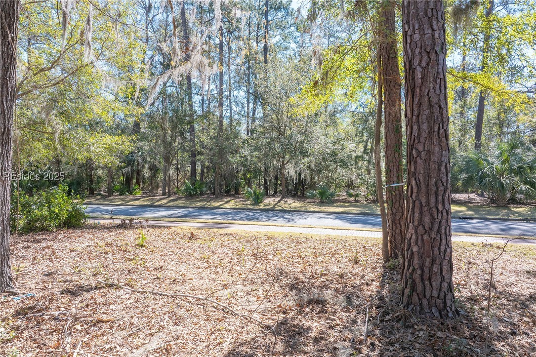 64 Gilded Street, Bluffton, South Carolina image 21