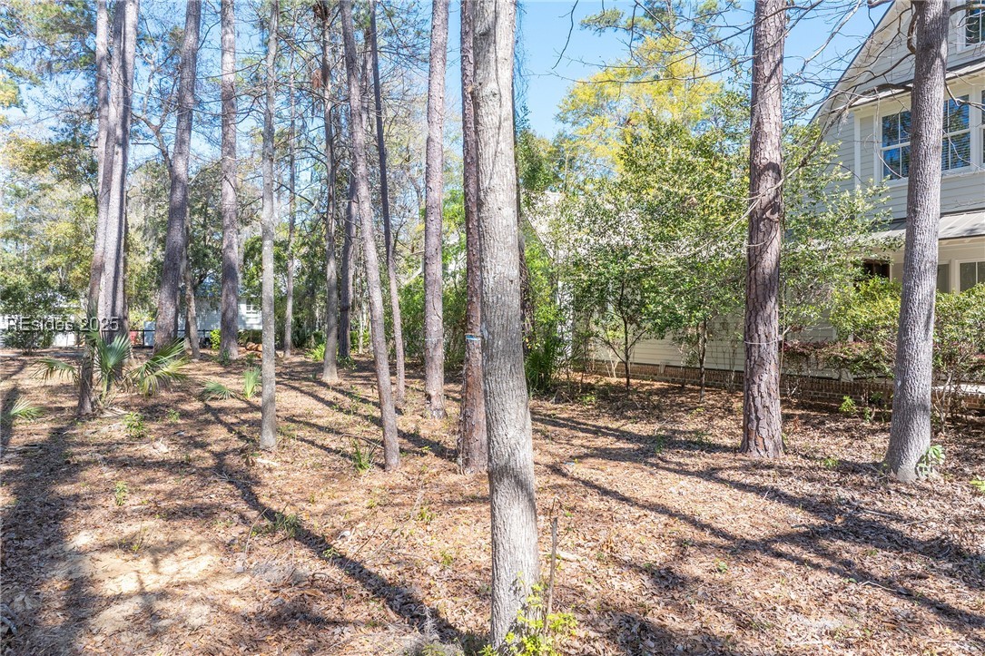 64 Gilded Street, Bluffton, South Carolina image 24