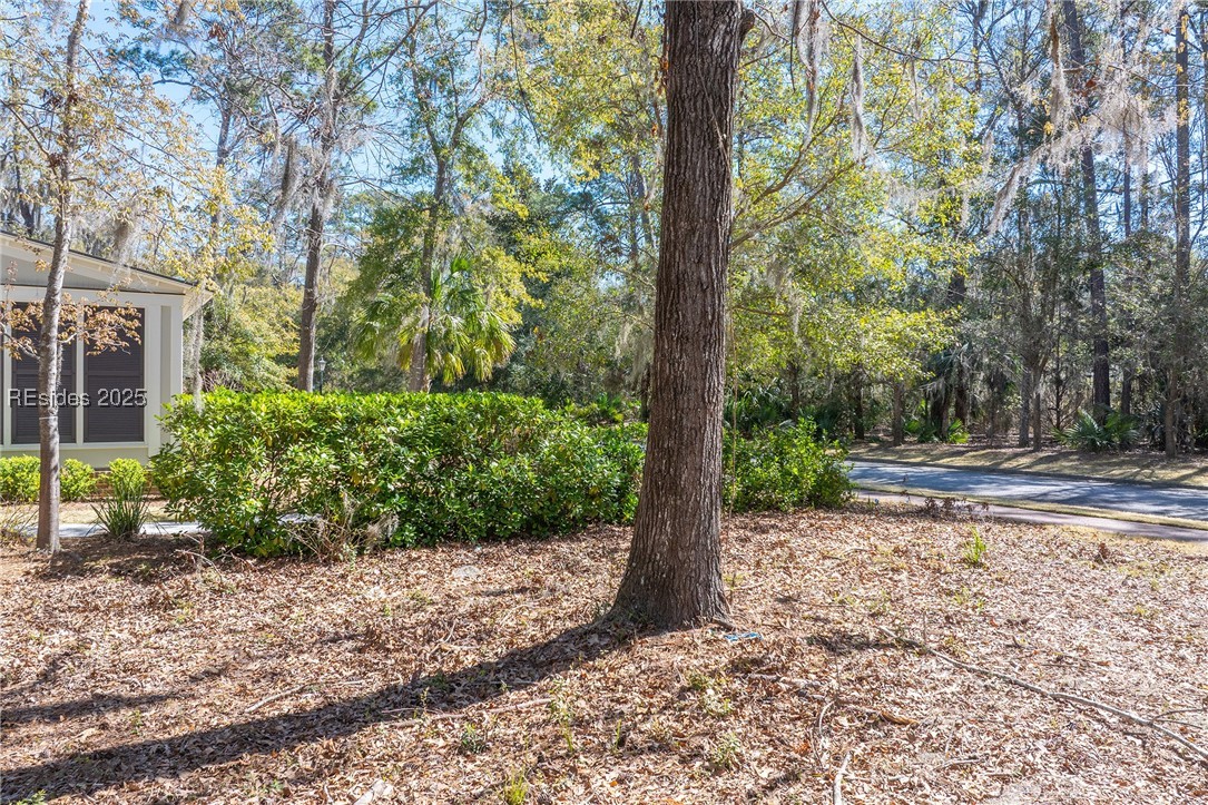 64 Gilded Street, Bluffton, South Carolina image 22