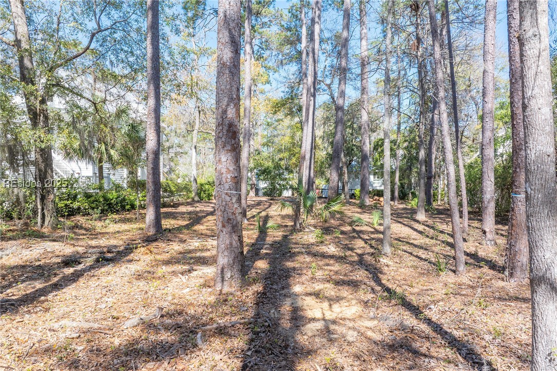 64 Gilded Street, Bluffton, South Carolina image 17