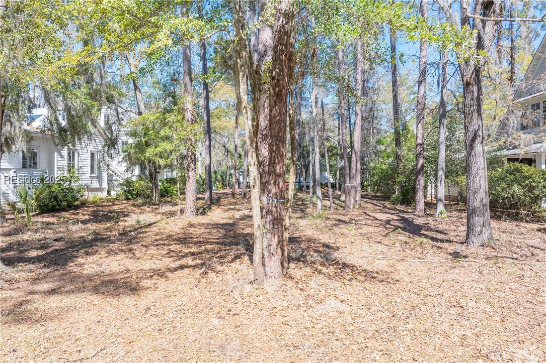 64 Gilded Street, Bluffton, South Carolina image 16