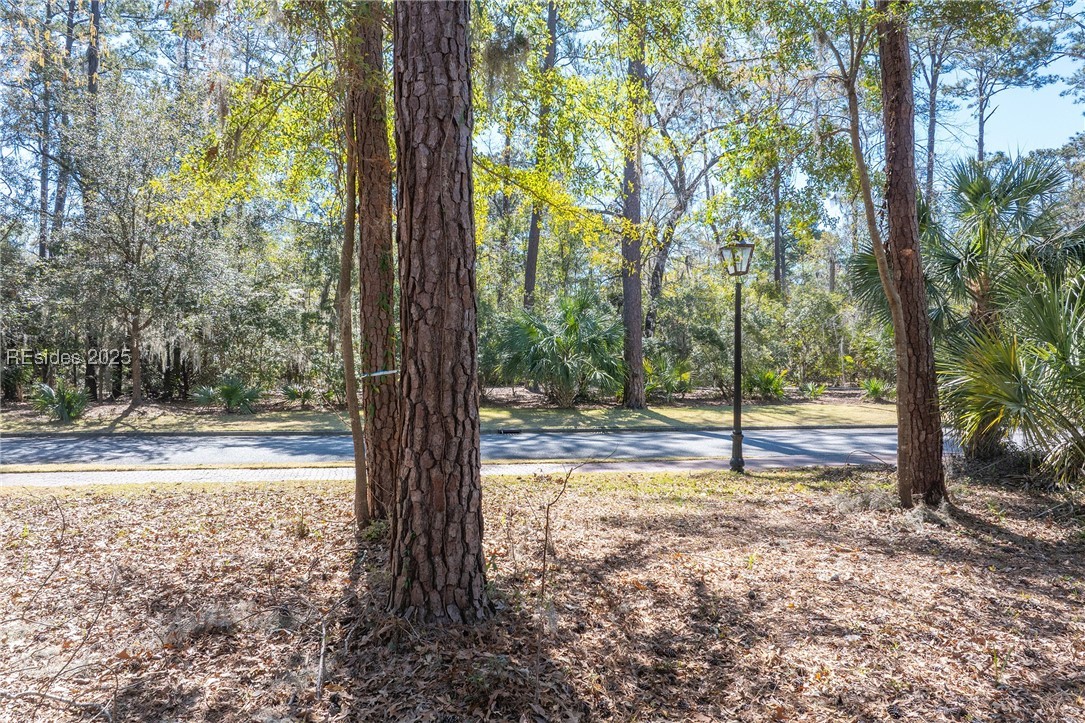 64 Gilded Street, Bluffton, South Carolina image 20