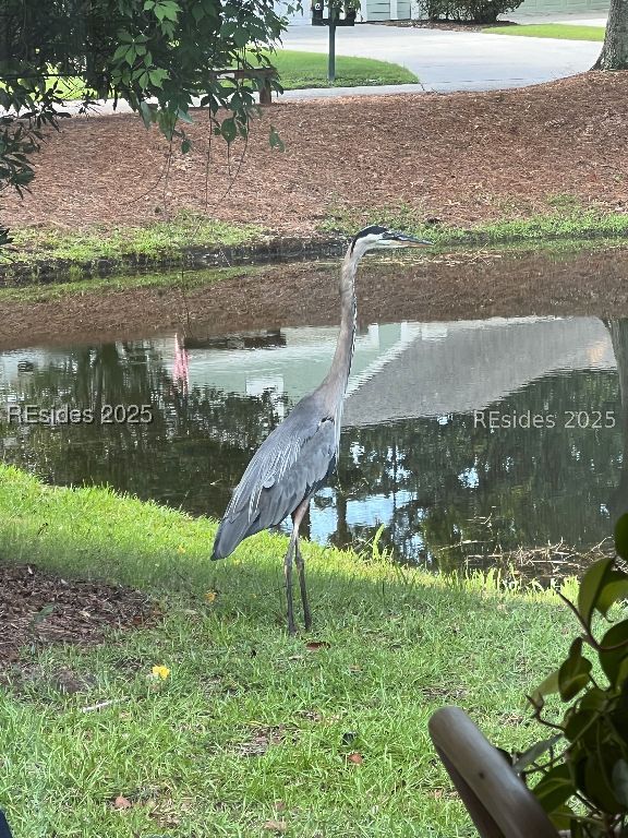 Bluffton, South Carolina 29909, United States, 2 Bedrooms Bedrooms, ,2 BathroomsBathrooms,Residential,Active,53932