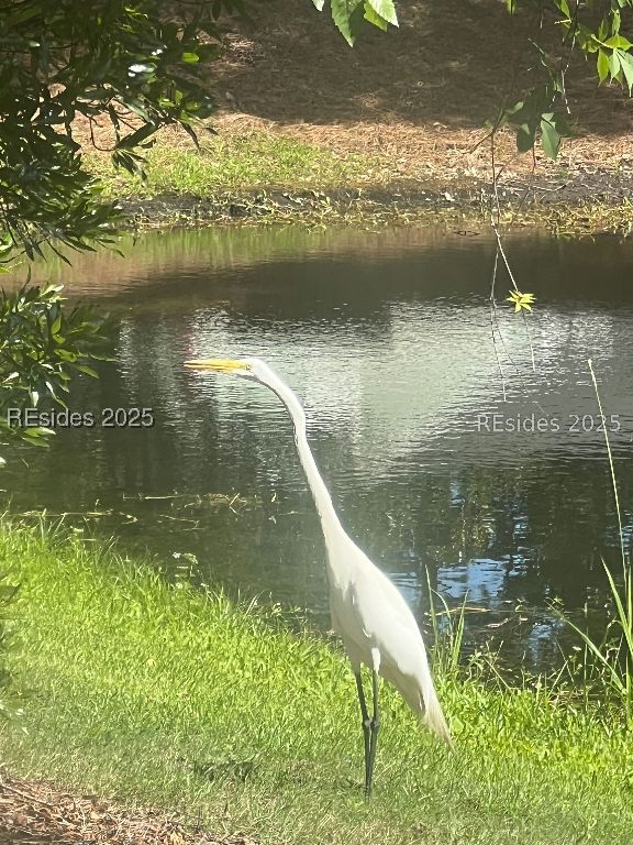 Bluffton, South Carolina 29909, United States, 2 Bedrooms Bedrooms, ,2 BathroomsBathrooms,Residential,Active,53932