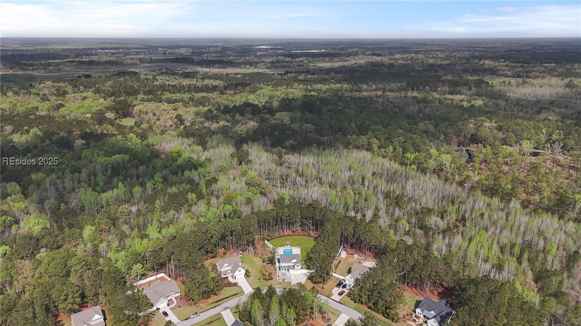 1421 Osprey Lake Circle, Hardeeville, South Carolina image 50