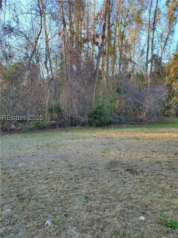 412 Live Oak Walk, Bluffton, South Carolina image 19