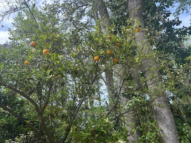 133 Arrow Rd., #9, Hilton Head Island, South Carolina image 10